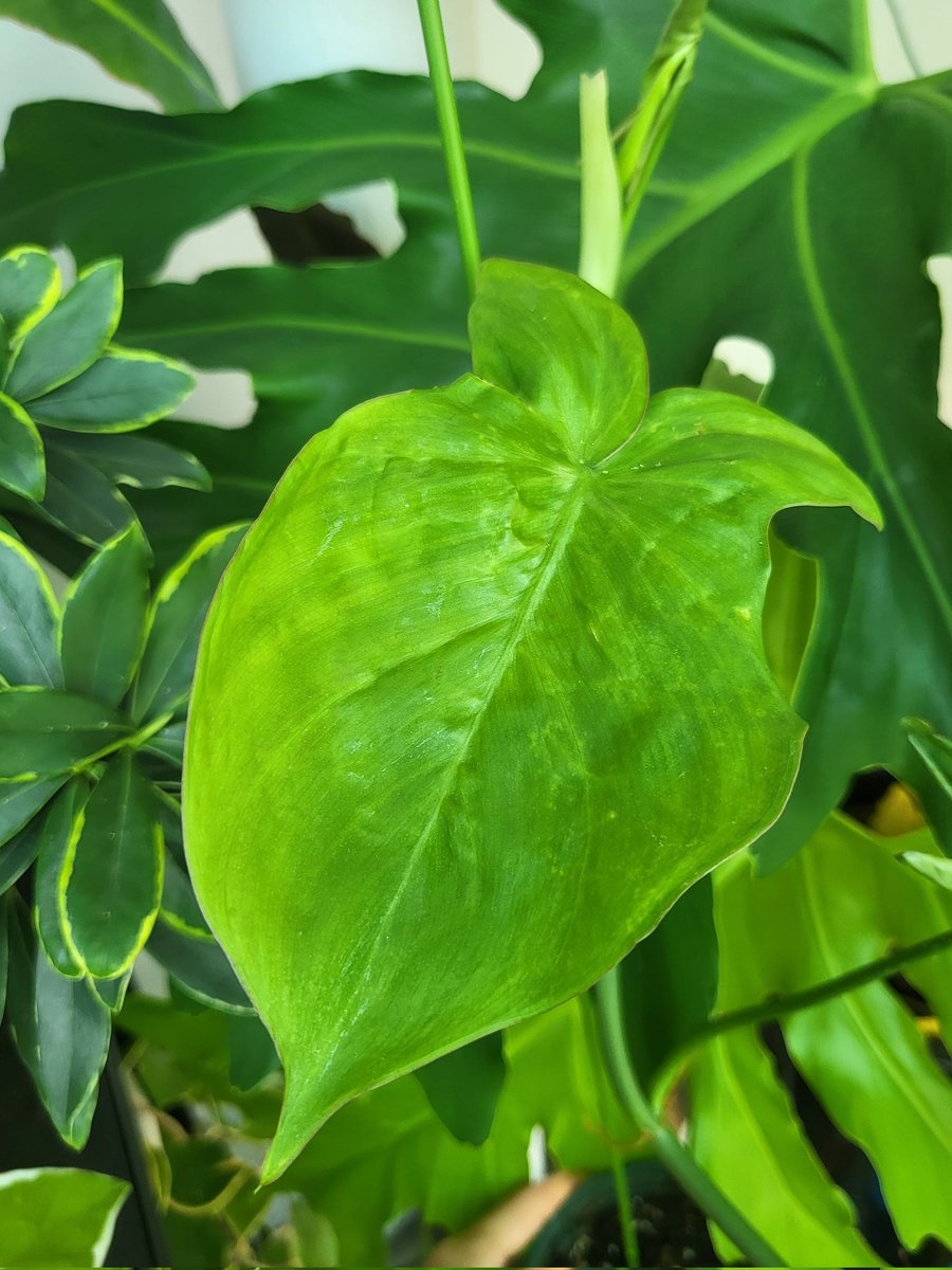 🐰토끼의 등장🐰