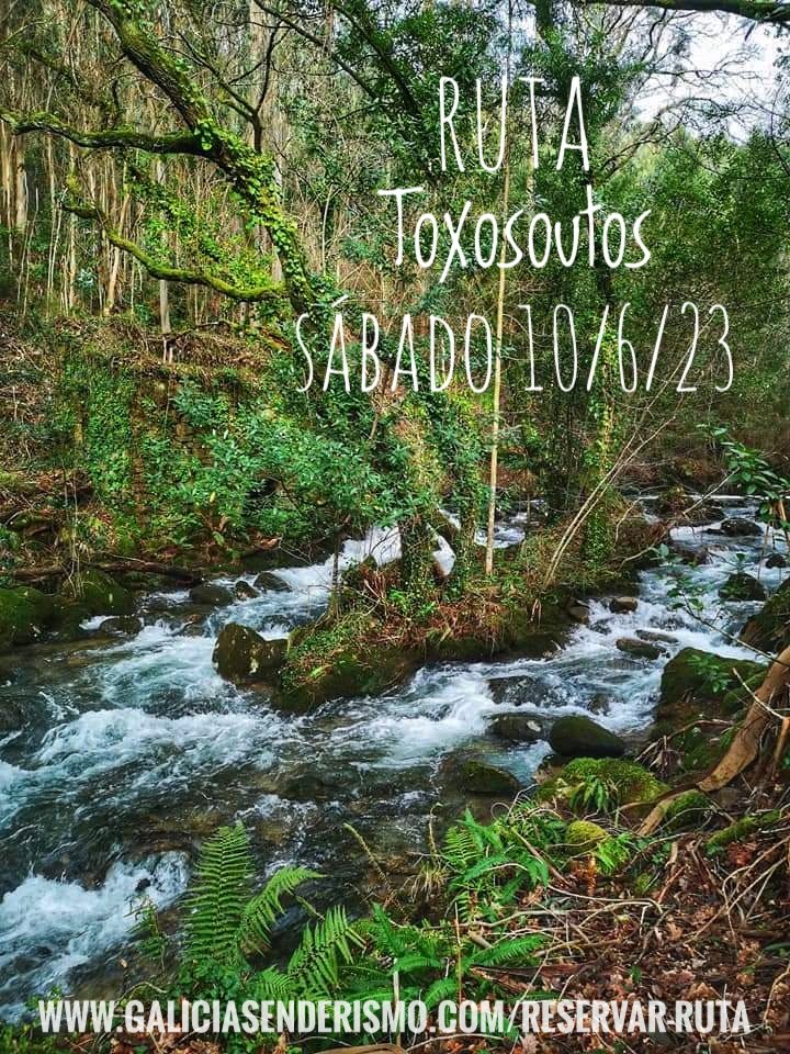 Ruta de Senderismo / Toxosoutos
- SÁBADO 10/6/23 / 9:30 h
- DISTANCIA: 18 km / CIRCULAR.
- DIFICULTAD: MEDIA +
TIPO: EN GRUPO Y CON PARADAS
- PUNTO DE ENCUENTRO:
Gasolinera Combustibles Barcia / Noia
- INSCRÍBETE AQUÍ: 
galiciasenderismo.com/reservar-ruta 
----
☎️ Info 609531105 / Sindo