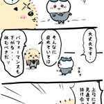絶対「大丈夫」じゃないハチワレくんに「休め!」と説得するラッコ先輩が男前すぎる。どこまでもついていきますパイセン…!