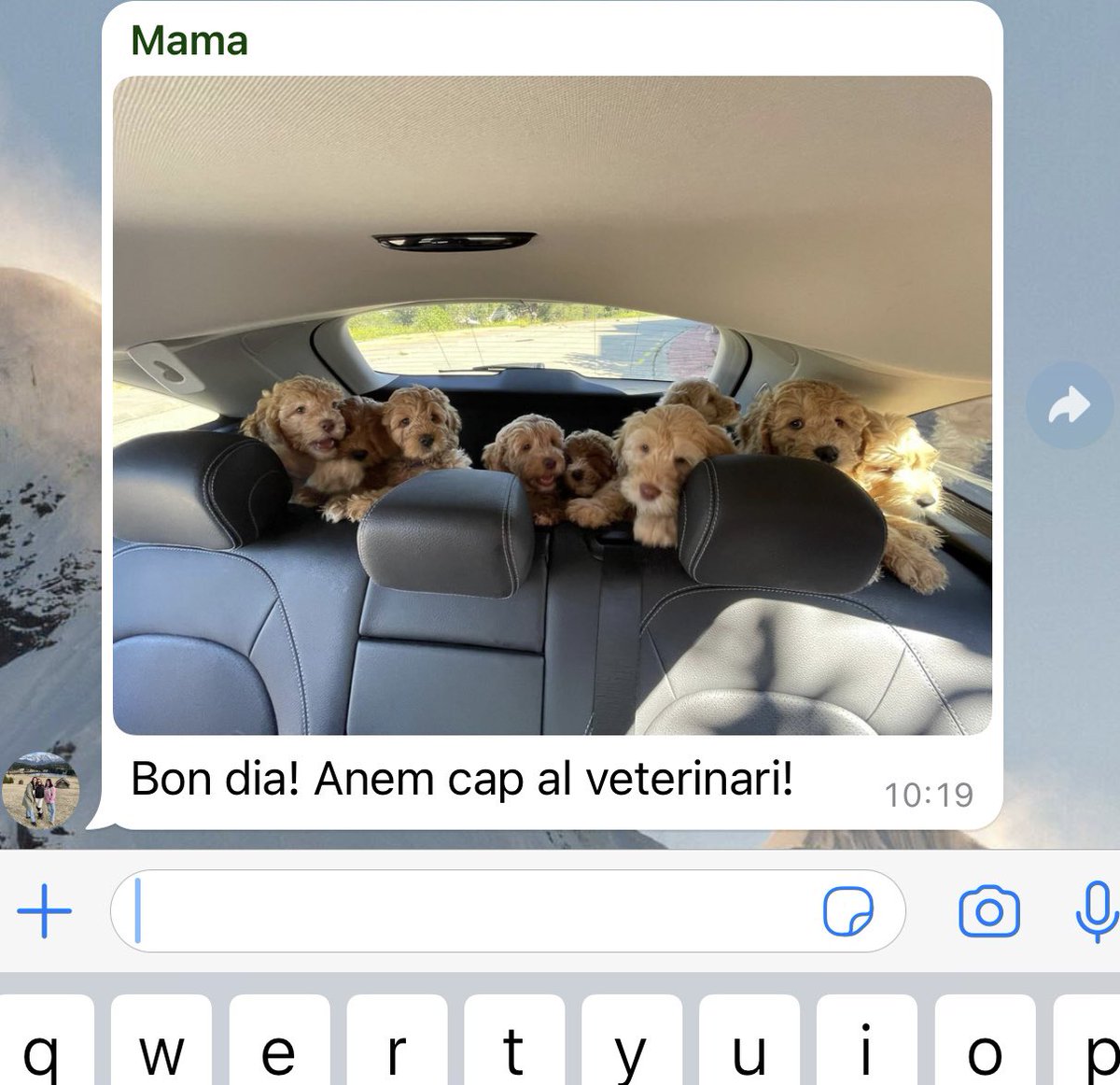 BertaMolera's tweet photo. això sí que és un bon dia https://t.co/X8uvrv8BtS