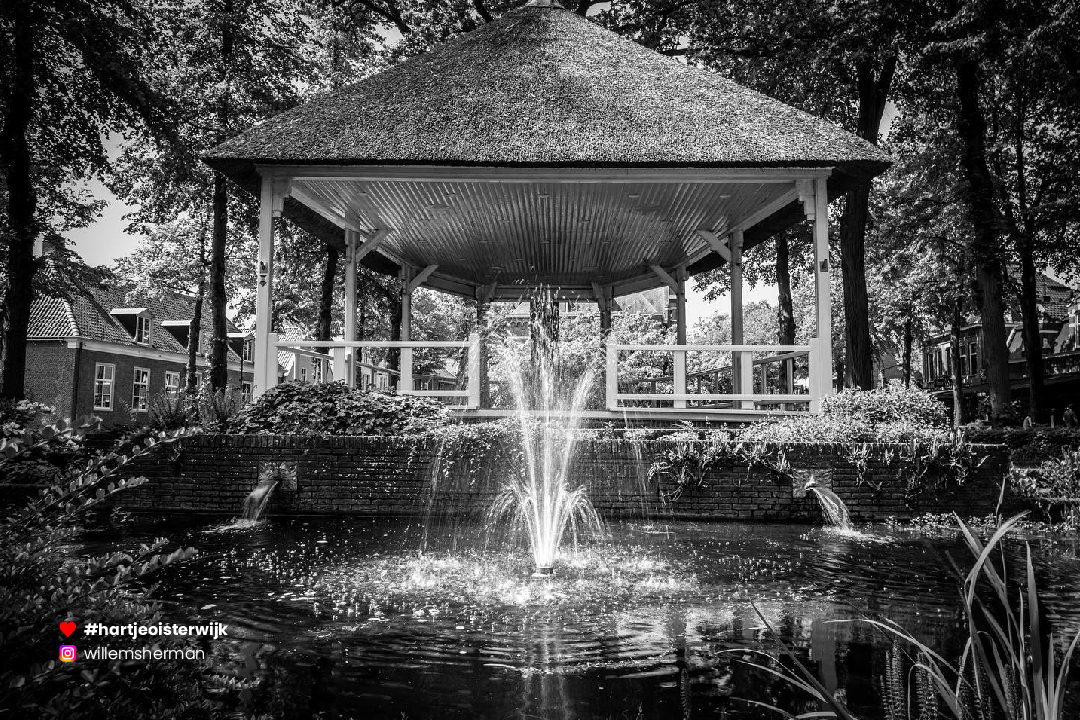 📷 Foto: Herman Willems
🔎 instagram.com/willemsherman
♥ 𝗭𝗲𝗹𝗳 𝗲𝗲𝗻 𝗺𝗼𝗼𝗶𝗲 𝗳𝗼𝘁𝗼? 𝗚𝗲𝗯𝗿𝘂𝗶𝗸 #hartjeoisterwijk

-
#nederland #netherlands #visitnetherlands #noordbrabantdichterbij #nature #naturephotography #visitbrabant #oisterwijk #oisterwijksebossenenvennen