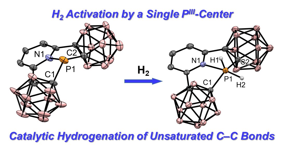 The first preprint from the group. Congrats to @Deependrabawari, @Jaishkuldeep and @ToamiDonia99 Hydrogen Splitting at a Single PIII-Center and Its Use for Hydrogenation | ChemRxiv - chemrxiv.org/engage/chemrxi… Just to spice things up a bit! :)