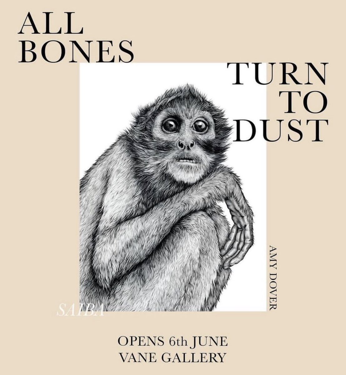 Opens tonight! <a href="/VaneGallery/">Vane</a> 5-8