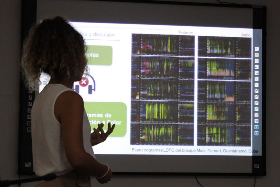 CaribaeaI's tweet photo. Last week, Mariam Curbelo Cruz, former Master student supported by Caribaea Initiative, presented her work about the acoustic monitoring of a Cuban #frog 🐸 during the Symposium on Biological #Diversity and #Conservation of @UdeLaHabana!

@SaberUH_2023 #caribbean #wildlife #Cuba https://t.co/15zd4JaM6O