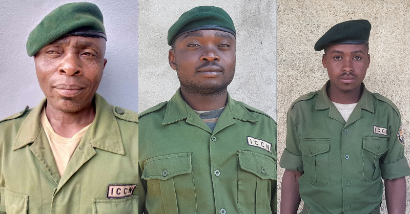 It is with extreme sadness that Virunga National Park confirms the deaths of 3 Park Rangers following two separate violent attacks by armed members of Mai Mai militias.

Read more: bit.ly/Statement-VNP