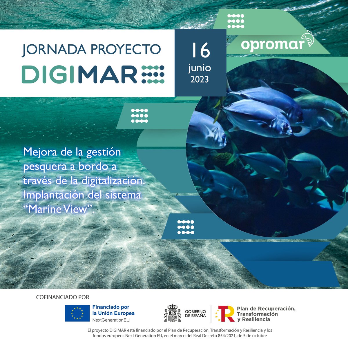 Opromar1's tweet image. #AGENDA // Nos vemos el viernes 16 de junio en Marín para la presentación del proyecto #DIGIMAR y el funcionamiento del sistema &quot;Marine View&quot; de @MarineInstrumen
Conocerás cómo la información océano-meteorológica sirve de apoyo a una #pesca más eficiente
registro.eventospesca.com/jornada-proyec…