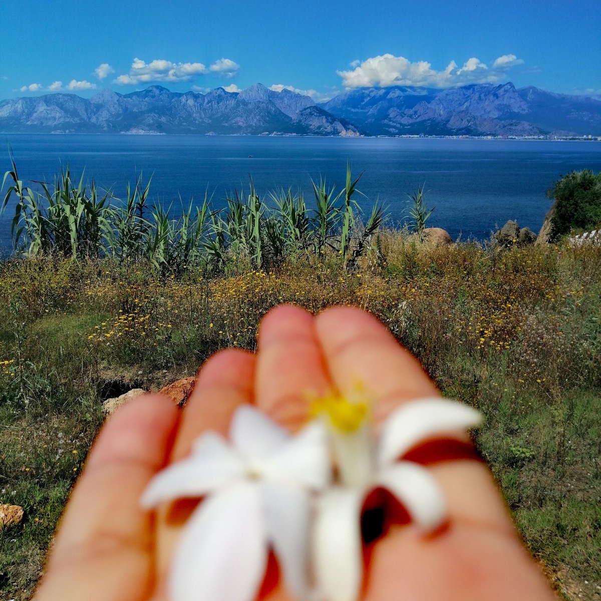 Bir çiçek yasemin, bir çiçek portakal, bir hasretlik deniz, bir kavuşmalık dağ...@Antalya