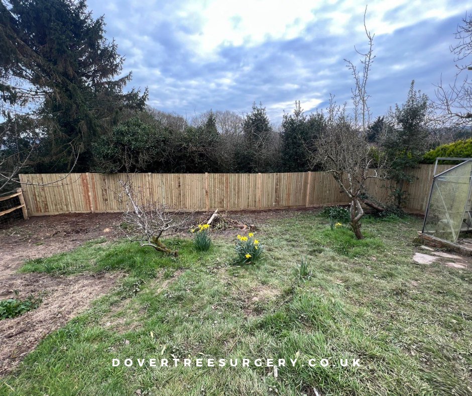 Time for tree maintenance? We offer comprehensive tree care services, including pruning, crown thinning, and stump grinding. Enhance the beauty and safety of your outdoor space with our professional tree services. Contact Dover Tree Surgery now!

#dover #arborist #treefelling