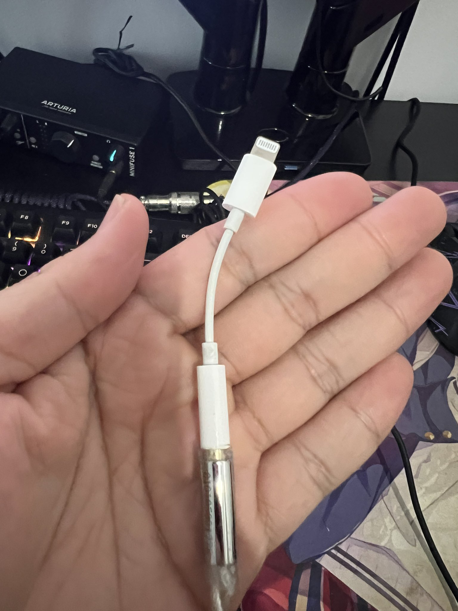 Reverse lightning to 3.5 mm 2025 adapter