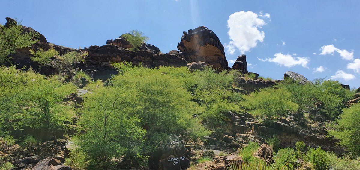 dawoodbtzi's tweet photo. Musakhail in Balochistan is said to be the initial consideration for the capital of newly established Pakistan before Islamabad was eventually finalised. It was part of Loralai before new districts were declared.
#landscape #nature #water #trees #summer #photography
#PicSenseDK https://t.co/wwEFy8WgTY
