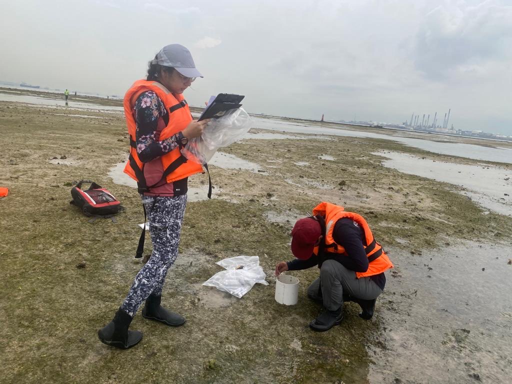 Another #bluecarbon fieldwork day at #Cyrenereef #seagrasses with young volunteers, I love Jordon &amp; Alawiyah’s  passion for #naturebasedclimatesolutions ⁦<a href="/NUSCNCS/">NUS CNCS</a>⁩ ⁦<a href="/NUSingapore/">NUS</a>⁩