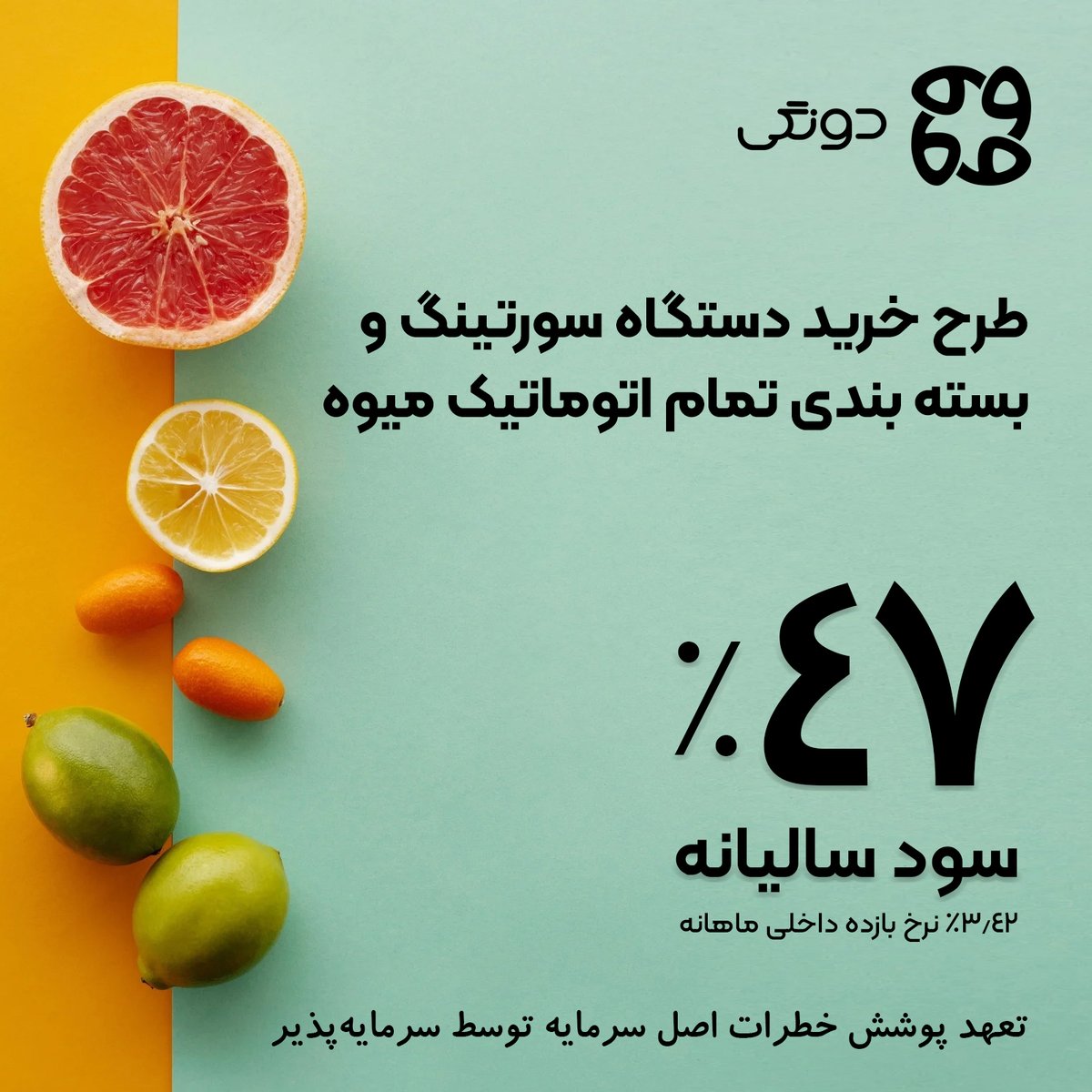 Dongi_ir's tweet photo. 🔥شروع سرمایه گذاری در طرح خرید دستگاه سورتینگ و بسته بندی تمام اتوماتیک میوه 

✅ برآورد سود 12 ماهه: 47.71 درصد   

✅ مدت طرح: 12 ماه   

✅ حداقل مبلغ سرمایه گذاری: 500 هزار تومان   

✅ معاف از مالیات   

🌐 https://t.co/P8hRr94igj

#کرادفاندینگ #سرمایه_گذاری #دونگی https://t.co/HFXZkoxhGU