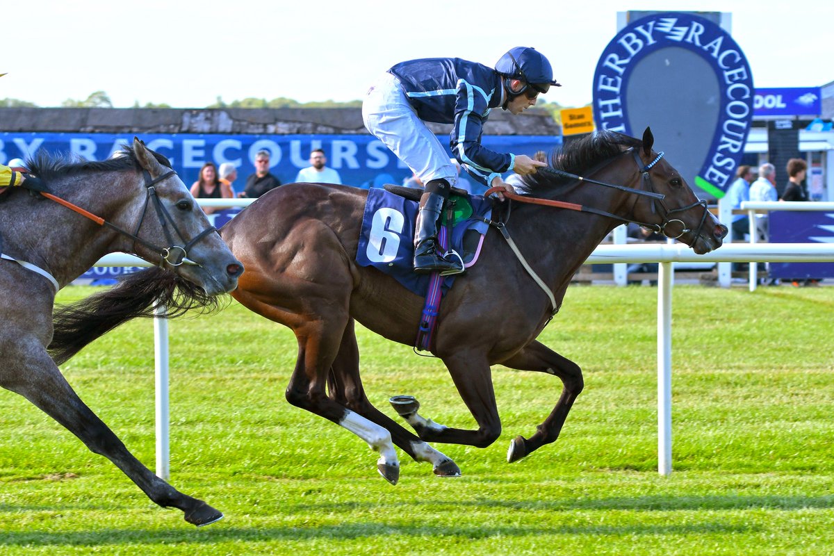 YorkshireRacing's tweet photo. Head down to @WetherbyRaces for an
evening of flat racing, featuring a seven race card.
Gates open at 3:45pm, with the first race starting at 5:45pm.
#WetherbyRacecourse #GoRacingInYorkshire
#HorseRacing #FlatRacing #YORKSHIRE https://t.co/YVT5xc32yk