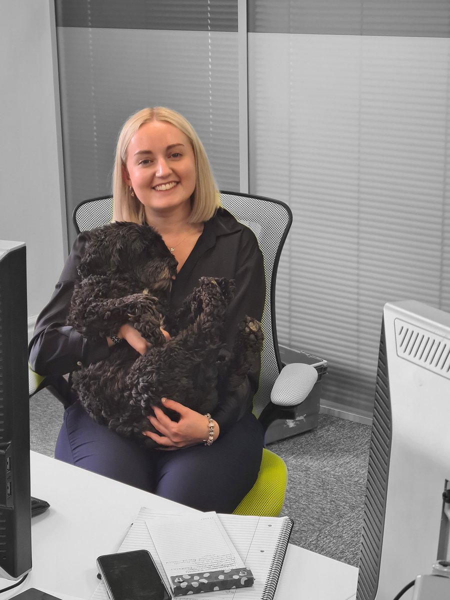Our furry family members are always welcome for a cuddle at Comtec 🐶 How about where you work? #dogsoftwitter #agencylife #tuesdaymotivations