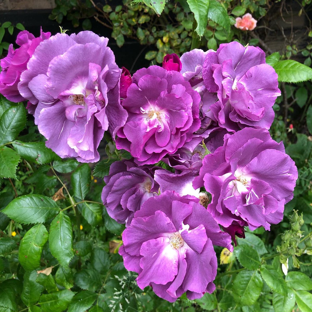 CoR Mirfield on Twitter "It’s a gloomy sort of day here but the