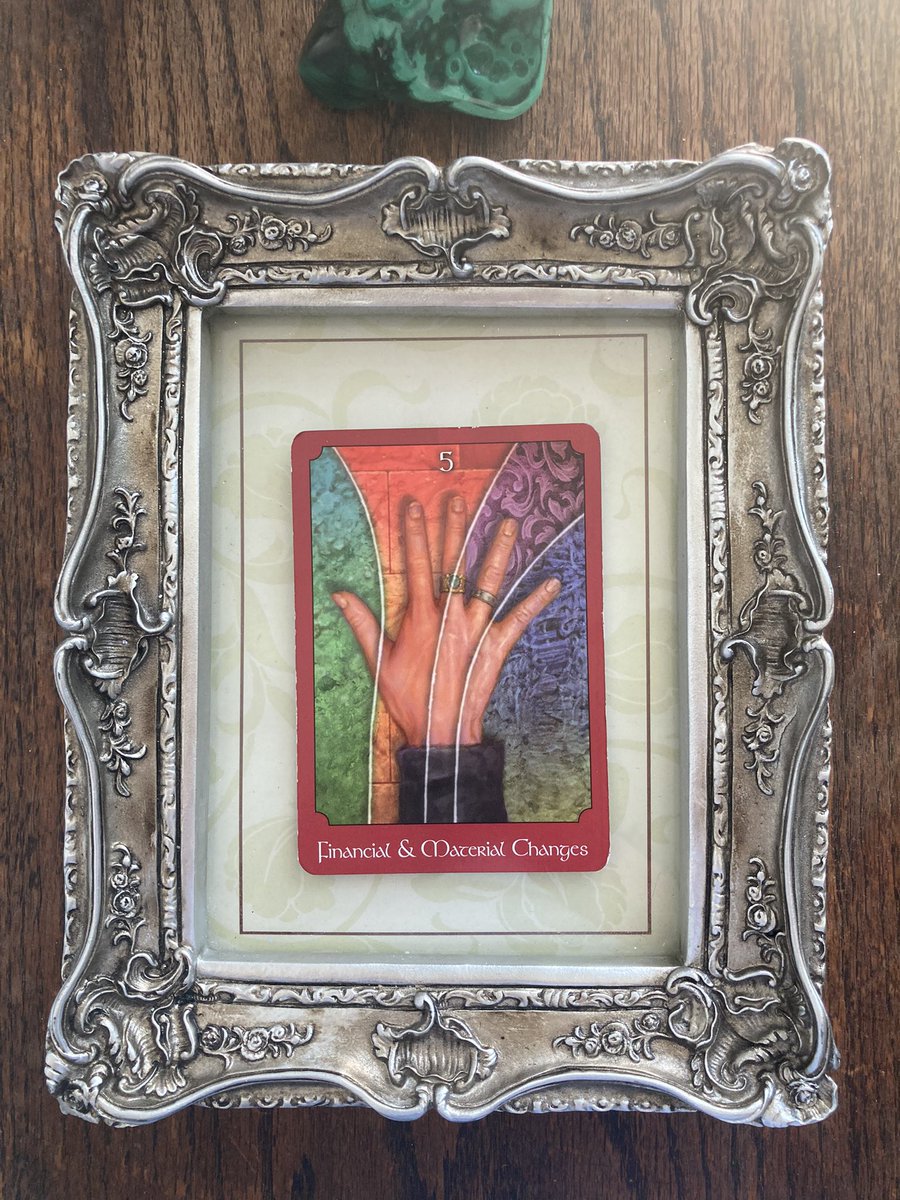 Daniela Centola tweet media