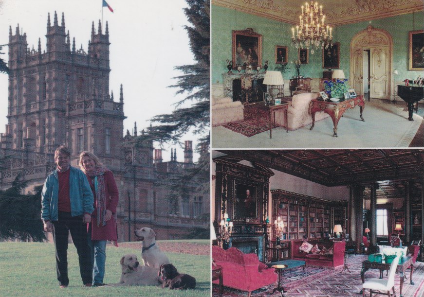 Plant still alive and doing well.