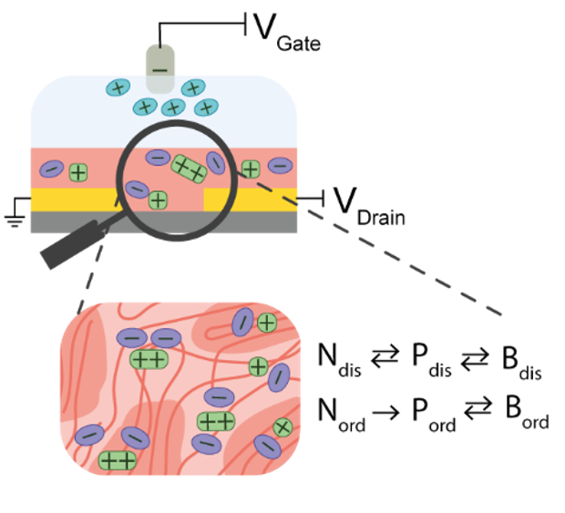 Olivier Bardagot (@obardagot) on Twitter photo ➡️Open-access paper out! ⬅️Do you know how to speed up the doping of P3HT by controlling the morphology? I have learnt so much from that study led by <a href="/BanerjiNatalie/">Natalie Banerji</a> and <a href="/CavassinP/">Priscila Cavassin</a>. @Femtomat <a href="/STELORG/">STELORG</a>
Advanced Materials: doi.org/10.1002/adma.2… ➡️Open-access paper out! ⬅️Do you know how to speed up the doping of P3HT by controlling the morphology? I have learnt so much from that study led by <a href="/BanerjiNatalie/">Natalie Banerji</a> and <a href="/CavassinP/">Priscila Cavassin</a>. @Femtomat <a href="/STELORG/">STELORG</a>
Advanced Materials: doi.org/10.1002/adma.2…