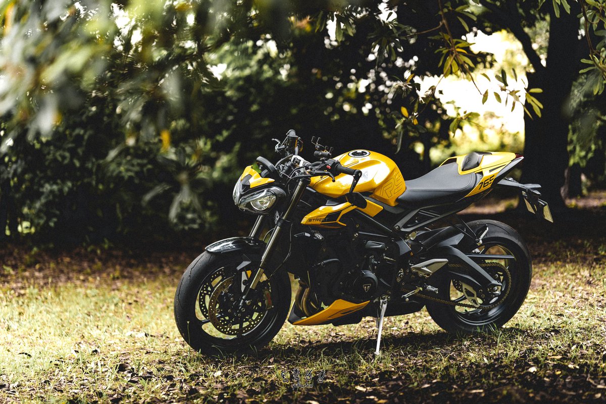 22fuku765's tweet photo. 黄色のバイクと自然の緑。🐤🌳
#カメラのある生活
#バイクのある風景
#motorcyclephoto https://t.co/B9iW1jdYJt