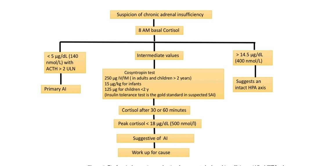 LeslieMegom's tweet photo. 💥🗞Insuficiencia suprarrenal: un enfoque de diagnóstico basado en la evidencia📚☕️✒️📝
👇👇👇👇👇
https://t.co/J4gSfh2GlR
🔏
https://t.co/ZtGKjvpysw https://t.co/FUqr291HhL