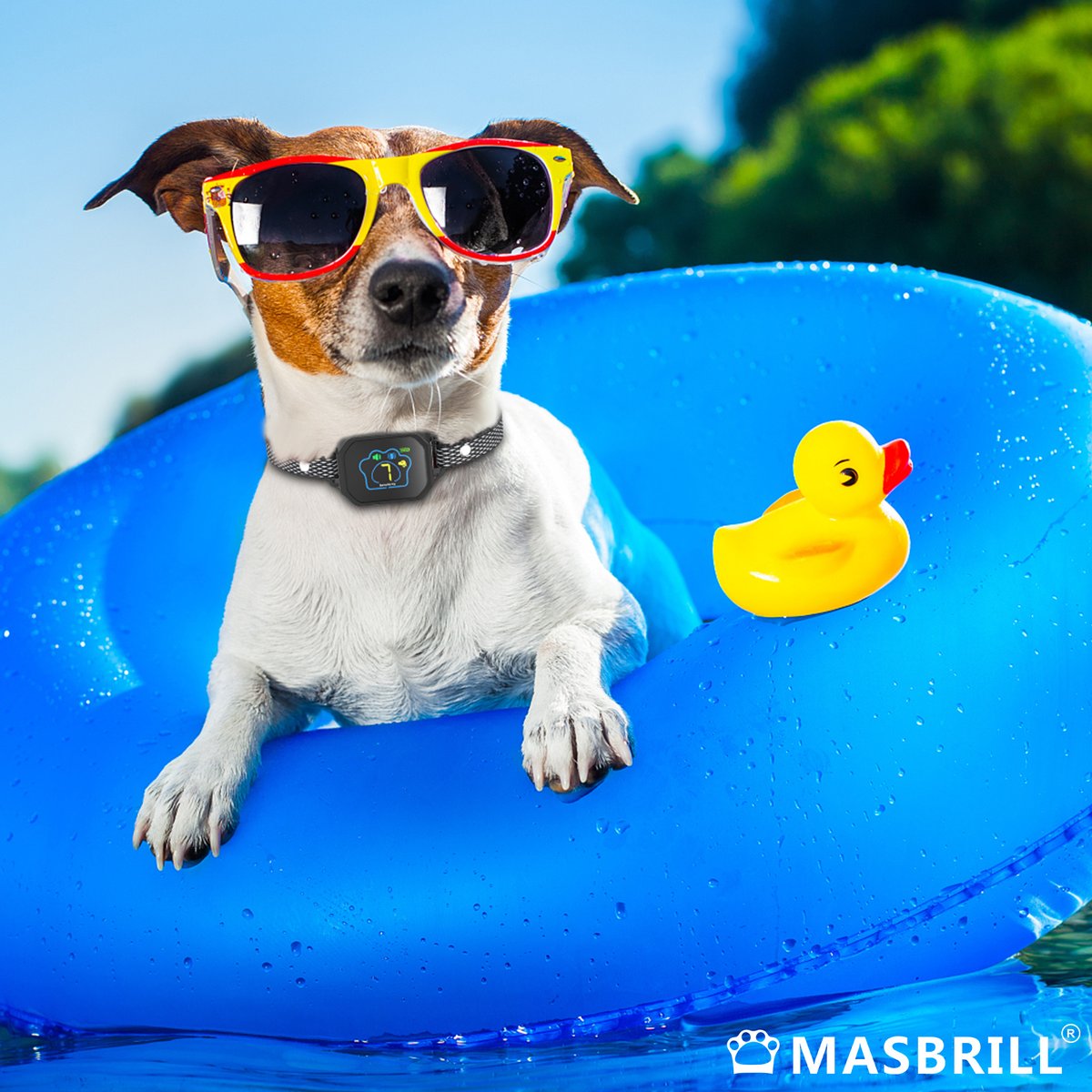 What can dog water sports🏊 be without #Masbrill Color Screen Waterproof Anti-Bark Collar❄❄❄
masbrill.us

#dog #dogs #doglover #doglife #dogsofinstagram #dogloversofinstagram #dogstagram #dogsoffacebook #collar #barkcollar #cooldog #Waterproof #colarscreen