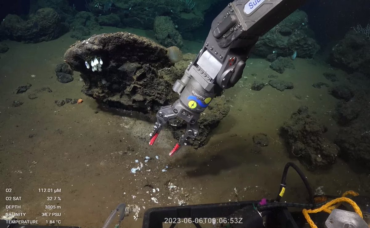 sphericum tweet media