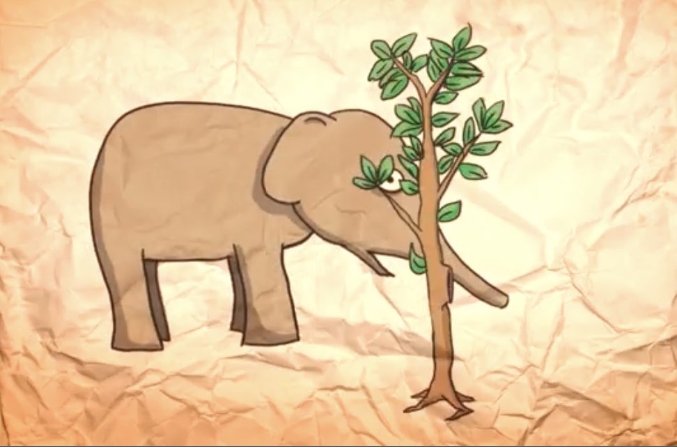 Educating the public is crucial for Asian elephant conservation. Our members engage in various efforts, to highlight the important role of elephants in ecosystems: 
 youtube.com/watch?v=mC6xeE…

#Elephant #AsianElephant #AsianElephantConservation #WorldEnvironmentDay