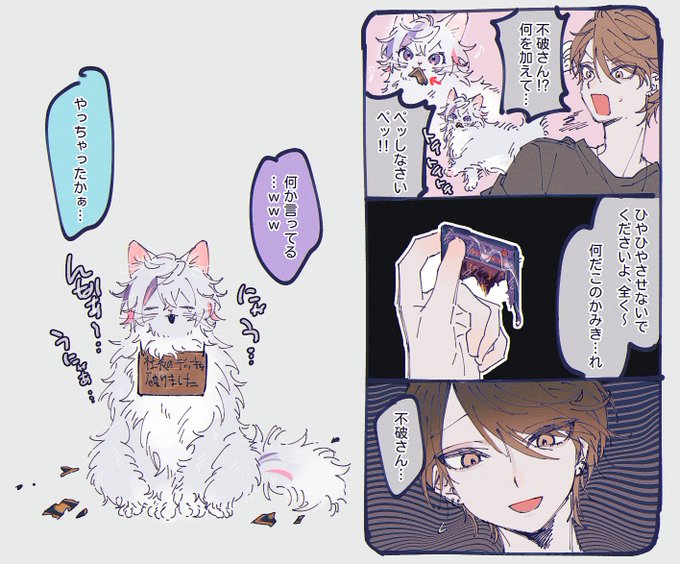 😿