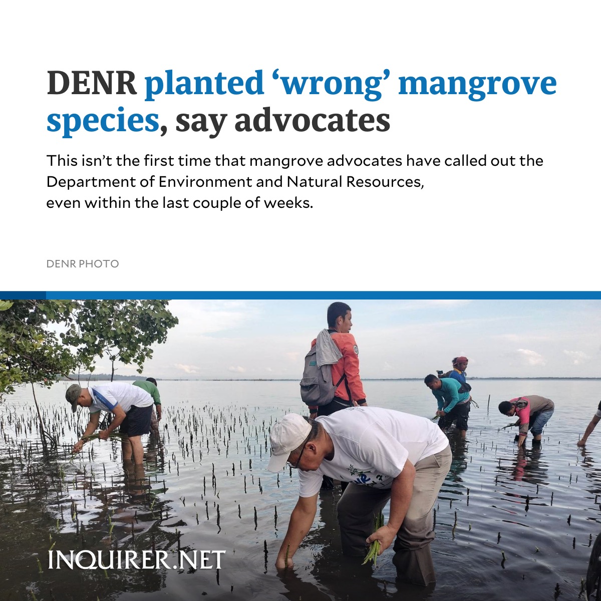 Inquirer tweet media