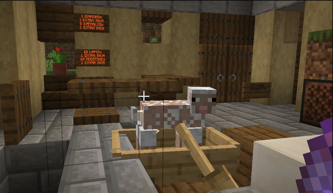 THESCCSMP's tweet photo. Join SCC smp
(https://t.co/gJMXhcCHFl ) https://t.co/QxpKCOKhBJ
