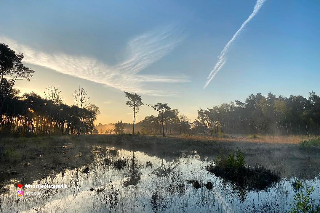 📷 Foto: Ad
🔎 instagram.com/avds56
♥ 𝗭𝗲𝗹𝗳 𝗲𝗲𝗻 𝗺𝗼𝗼𝗶𝗲 𝗳𝗼𝘁𝗼? 𝗚𝗲𝗯𝗿𝘂𝗶𝗸 #hartjeoisterwijk

-
#visitbrabant #nature #oisterwijksebossenenvennen #netherlands #nederland #noordbrabantdichterbij #oisterwijk #visitnetherlands #naturephotography