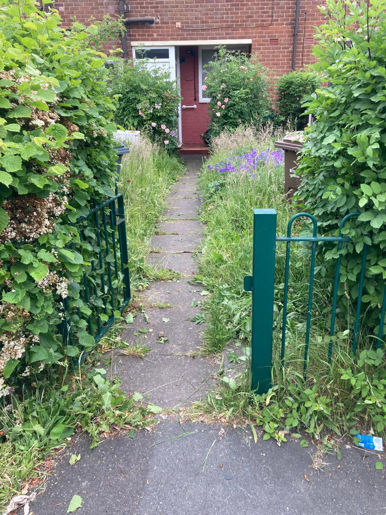 Int 1 Wythenshawe DN’s make me so proud ,Jean cutting a patients hedges to clear the pathway with their permission of course , the patient did help tidy up the cuttings #District Nursing