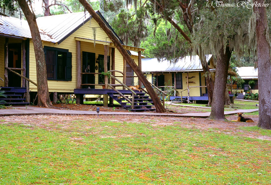 The Lodge at Little St Simons Island 
#NatureLuxury #PrivateIsland #AllInclusive #LittleStSimonsIsland #Georgia #ThePhotoHour #SouthernLiving