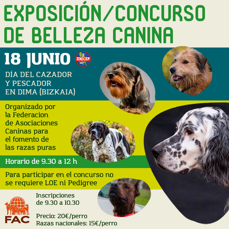 ADECAP_Caza's tweet photo. XXIX DIA CAZADOR Y PESCADOR EN DIMA. LA «FEDERACION DE ASOCIACIONES CANINAS RAZAS PURAS» ORGANIZA UNA EXPOSICION Y CONCURSO DE BELLEZA CANINO. INSCRIPCIONES TELEFONO 633293354 / info@federacionescaninas.es
#sialacaza #sialapesca #sialmundorural #nosvemosenDima #miperroesdecaza https://t.co/nlktPeyMnv