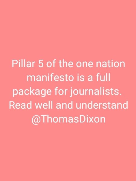 Pillar 5 of the one nation manifesto is a full package for journalists. 
Read well and understand @ThomasDixon