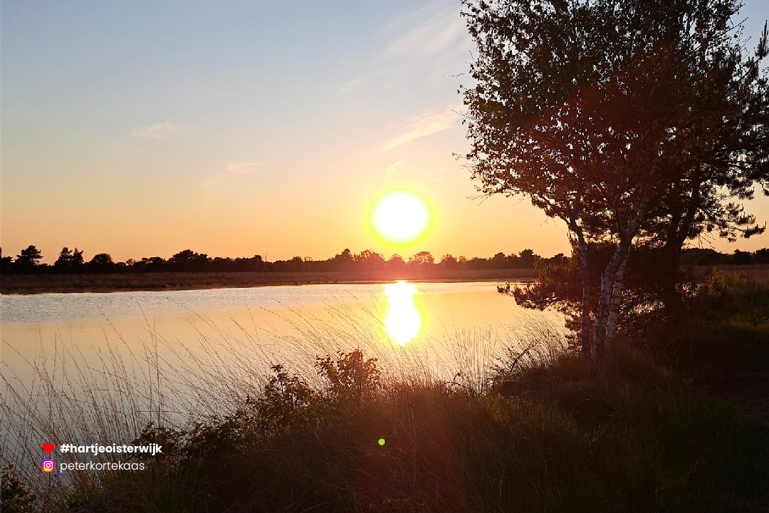 📷 Foto: Peter Kortekaas
🔎 instagram.com/peterkortekaas
♥ 𝗭𝗲𝗹𝗳 𝗲𝗲𝗻 𝗺𝗼𝗼𝗶𝗲 𝗳𝗼𝘁𝗼? 𝗚𝗲𝗯𝗿𝘂𝗶𝗸 #hartjeoisterwijk

-
#oisterwijk #oisterwijksebossenenvennen #naturephotography #netherlands #visitnetherlands #nature #noordbrabantdichterbij #nederland #visitbrabant