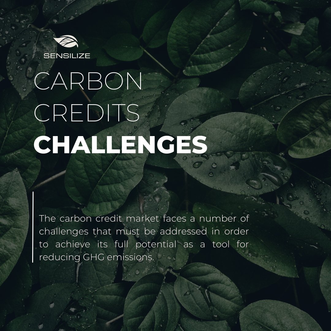 sensilize's tweet image. The carbon credit market faces a number of challenges that must be addressed in order to achieve its full potential as a tool for reducing GHG emissions.

Visit our LinkedIn page to read more: bit.ly/42qRzAU

#climatechange #carboncredits