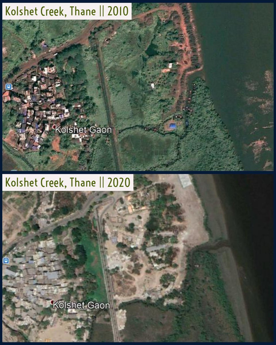 Kolshet lost a good big amount of mangroves in past decade. #thane #mumbai