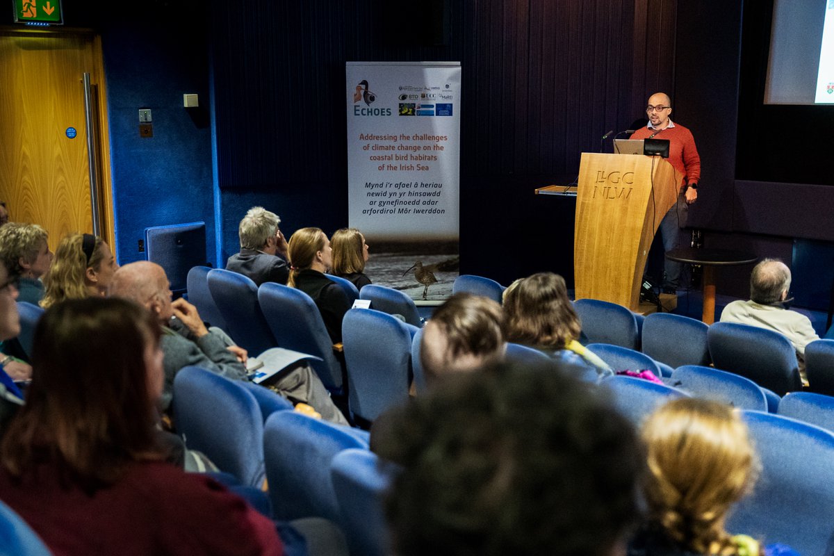 Join us online on 8 June to hear @W_CamaroG's insights into habitat vulnerability research, and how this aids our understanding of how the #Curlew and White-fronted Geese are likely to be affected by #climatechange. Register here: bit.ly/43miK1j #EUIrelandWales @eriucc