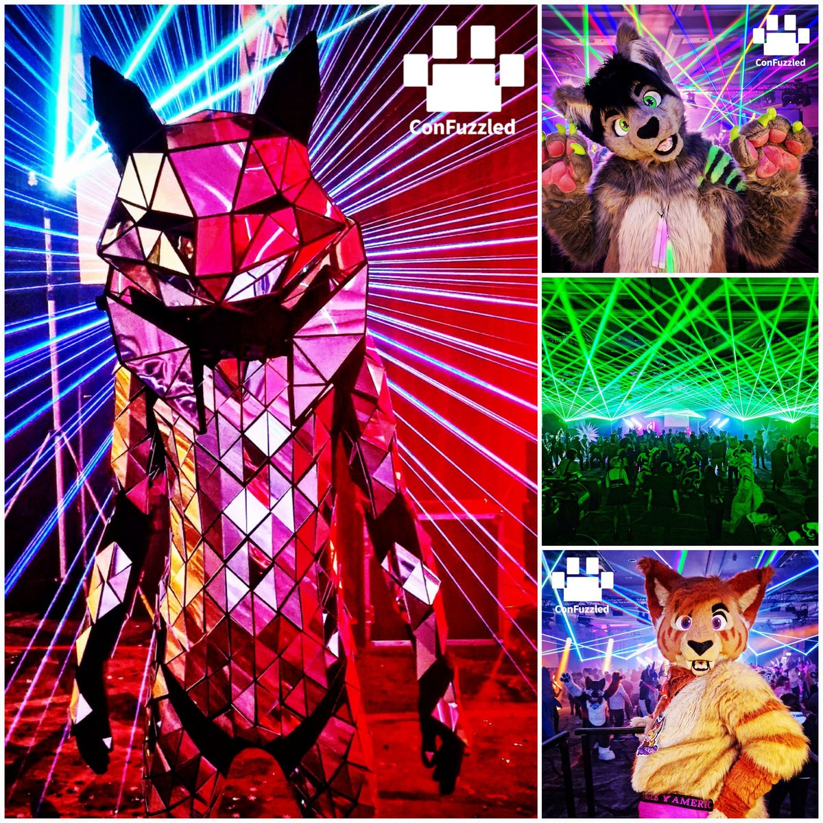 thatguyinatutu's tweet image. @cfconvention I think we know how to throw an after party! 🤣 #Confuzzled2023 #CFz2023 #deaddog