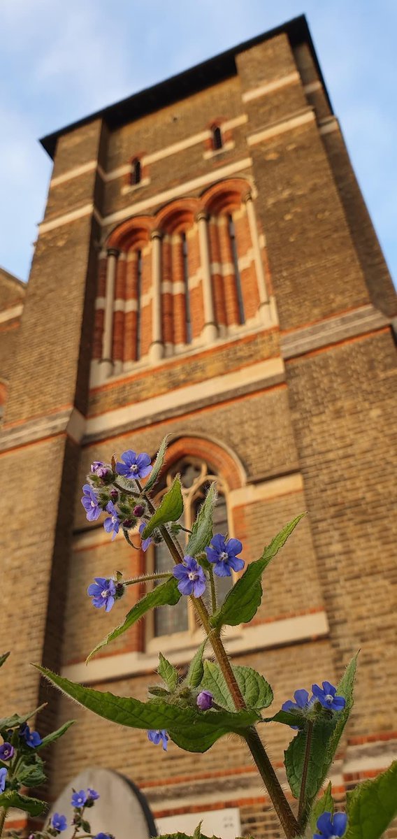 Sidcup_Bells's tweet photo. Belfry upkeep time, plus a few photos just outside the tower. #sidcup #churchoftheday @churchofengland https://t.co/qtAmm4zbmt