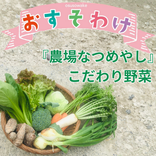 LikeLink350's tweet photo. “いいものをちょっとずつ”をコンセプトのもと、
心も体も生活も豊かにしてくれるお野菜を"おすそわけ"新企画✨

『農場なつめやし』こと祐尾智紗美さんのご紹介記事はこちら→https://t.co/oELtq2BWFx

Like Linkストアか���予約注文頂けます⇩
https://t.co/ThkE55PFNv
#LikeLink #おすそわけ #野菜 https://t.co/FPjiVOaU00