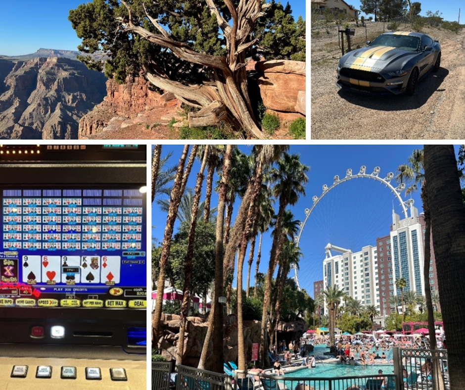 StudiotechBe's tweet photo. The NAB 2023 Las vegas 
 
At the Flamingo Hilton we tried to enjoy the weather, and, in the evening, we even doubled our bet in the casino 😊
The last day we had organised a quick tour with our customers at the Grand Canyon.
#studotechbelgium #audiovisual #NAB2023 #LasVegas https://t.co/IcIfiLBucc
