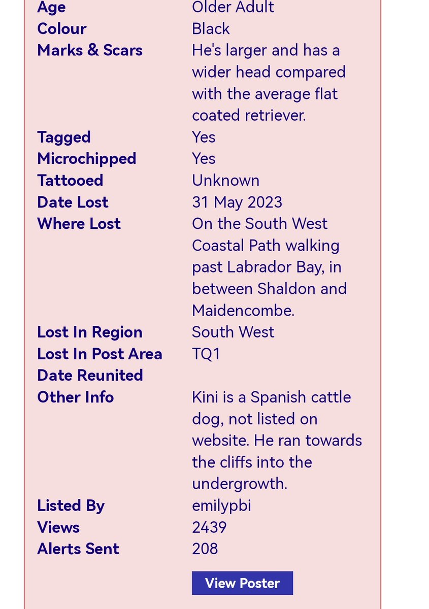 HunnyJax's tweet photo. ๐#helpfindKini APPEAL #DEVON TQ1 for POSTERING, sightings, info๐
10 yrsold Spanish CattleDog-looks like FlatCoated Retriever-went MISSING from coast path betw #Shaldon & #Torquay on MON MAY 31 Shaldon side #LabradorBay carpark๐ https://t.co/F2vSG52UhD
https://t.co/M4k6Y6D30o https://t.co/XXayHFscWY