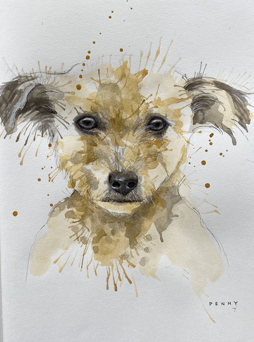 Penny <a href="/NiallHarbison/">Niall Harbison</a> 

#dogart #dogoftwitter #dogportrait 
Instagram @chellejung_draws