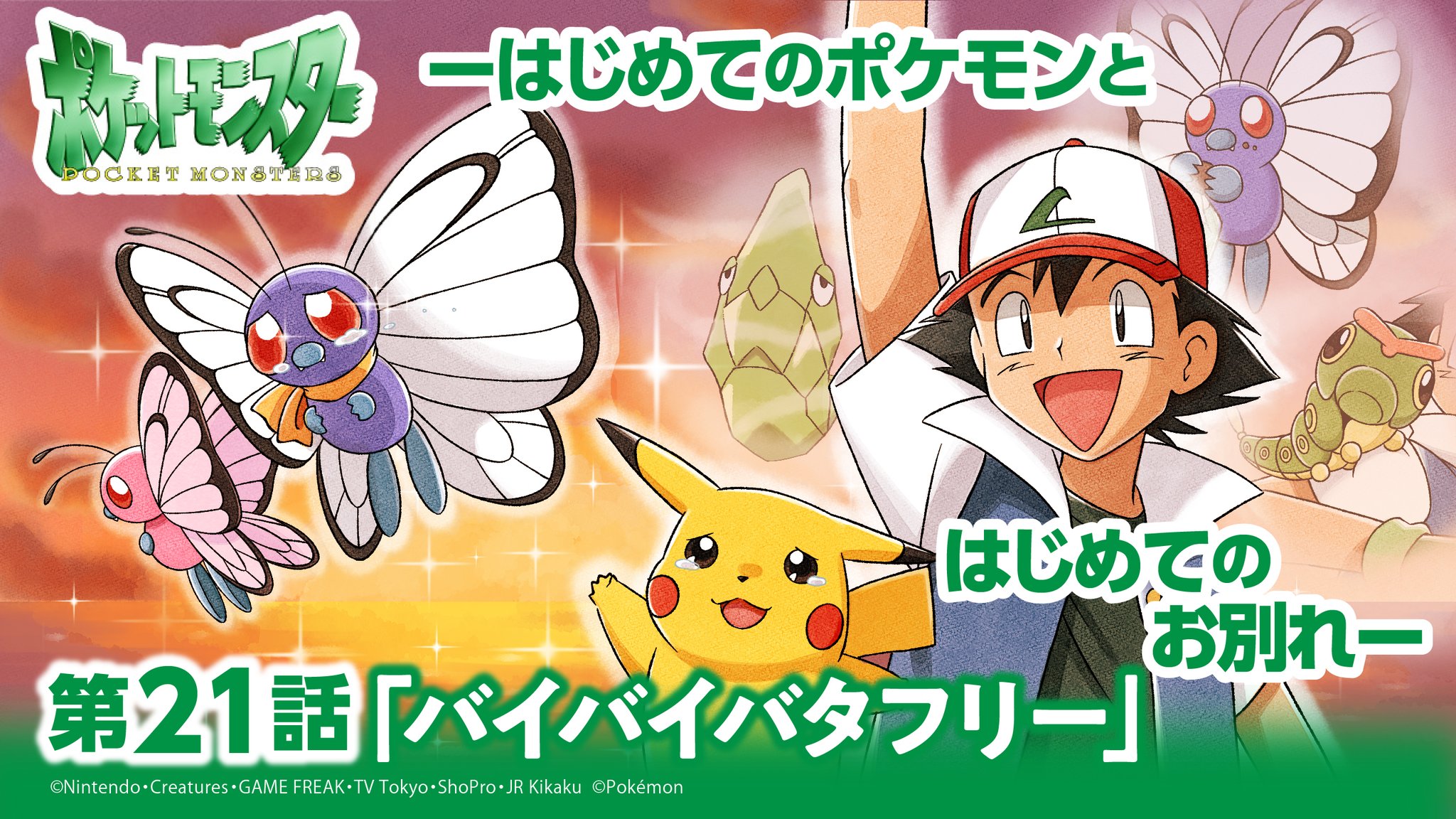 ポケモン アニポケ ロイ まとめ売り ポケモン アニポケ ロイ まとめ売り - メルカリ