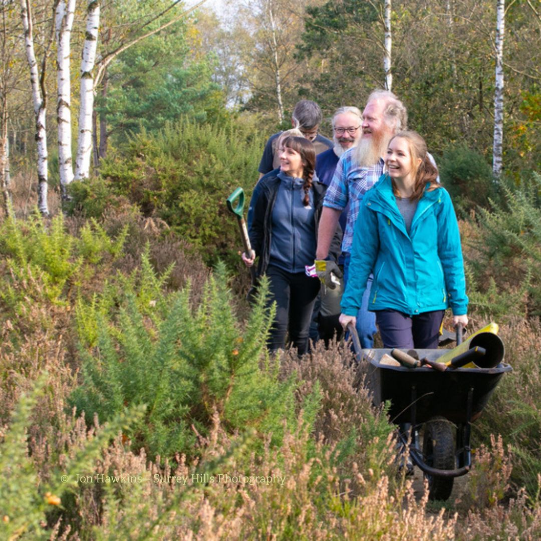 Whether you can spare a few hours or a full day, becoming a wildlife conservation volunteer can make a huge difference for nature and people 💚 

Register your interest in volunteering bit.ly/2Rripsd 

#Conservation #Volunteer #VolunteersWeek #TeamWork