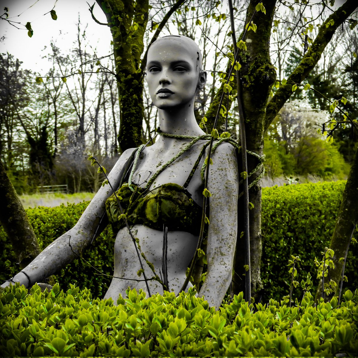 LaDaemonia's tweet photo. 〰️👣〰️
Say *Hello* to this unknown front garden beauty ...
My lil' sis and I discovered this stranger when we were on a longer walk ( me looking for good shots 😊)
#Fotografie #fotografie #fotografia #frontgarden #mannequin #splashfilter #urbex #digitalart #greensplash https://t.co/Z8kEGXjqN8