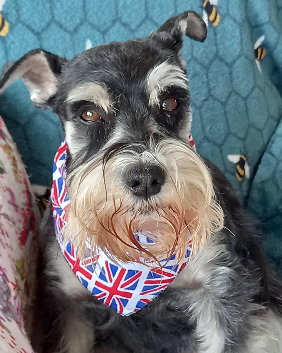 Meet Aggie! "I really enjoy coming into the hospital with my human Lesley. I regularly visit the wards, including the Gastro and Liver Unit. I love being stroked and petted, and I have my own dog bowl in the Friends Coffee Shop. If you see me in the corridor, please say hello!"
