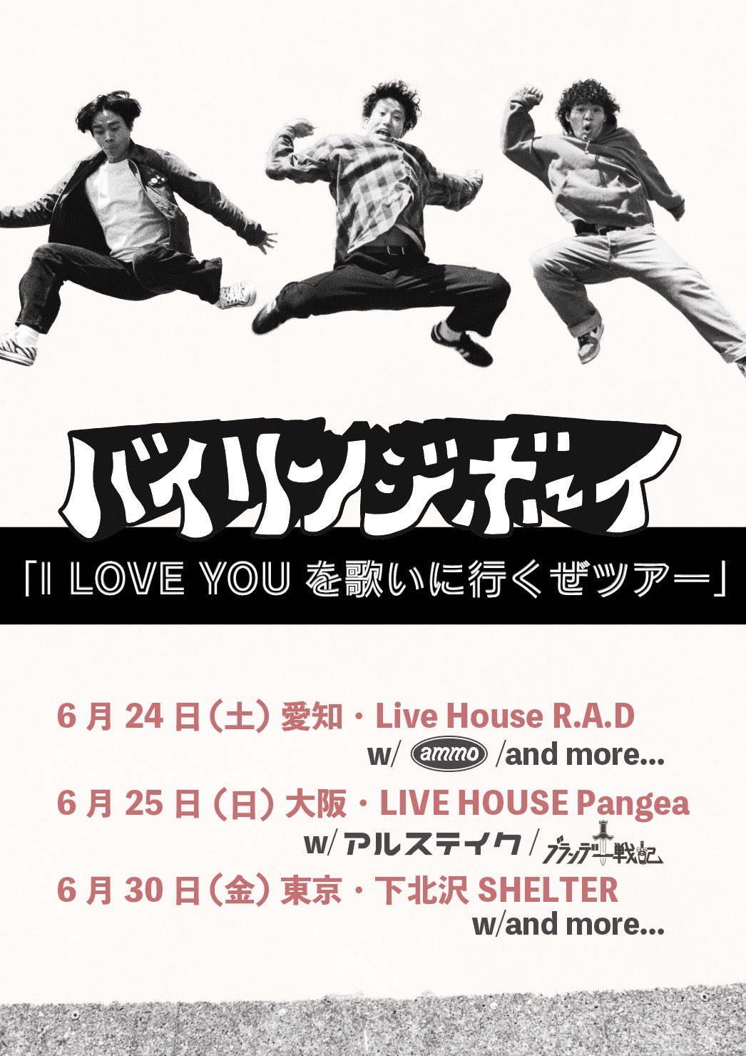 大人も着やすいシンプルファッション アルステイク 廃盤 弱虫